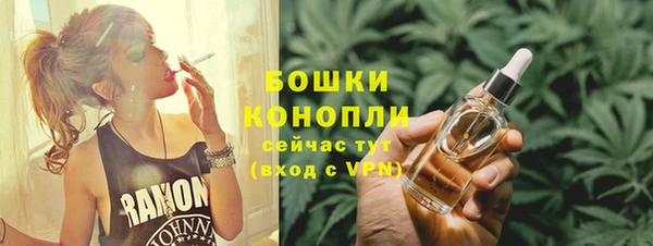 прущие грибы Козельск