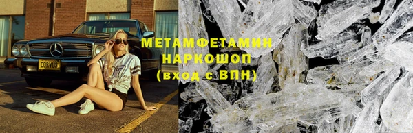 прущие грибы Козельск