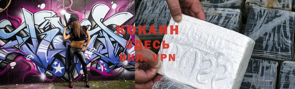 прущие грибы Козельск