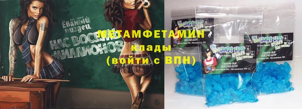 прущие грибы Козельск