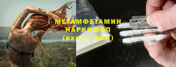 прущие грибы Козельск