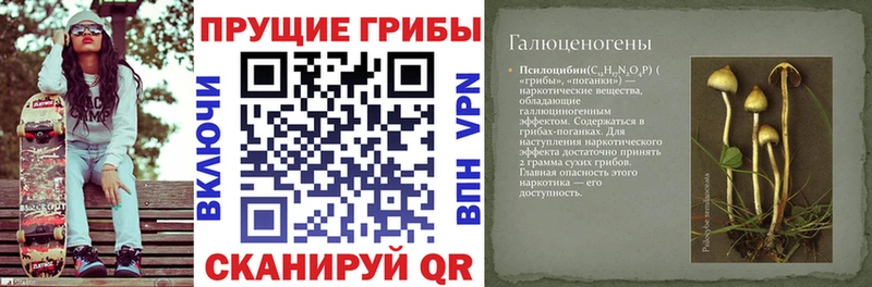 Галлюциногенные грибы ЛСД  Купить закладки  Калязин 